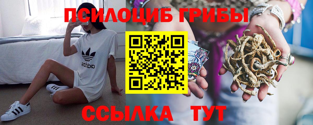 Галлюциногенные грибы MAGIC MUSHROOMS  Вход с VPN  Невинномысск 